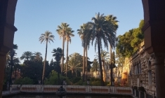 109